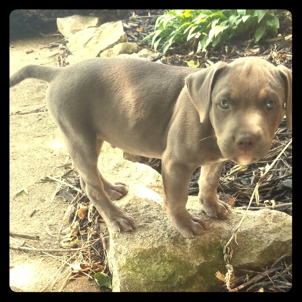 Open to offers on all items!